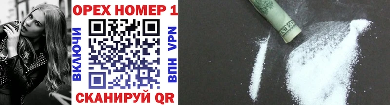 Кокаин Эквадор  mega зеркало  Новая Ладога  хочу  