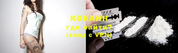 бошки Белокуриха